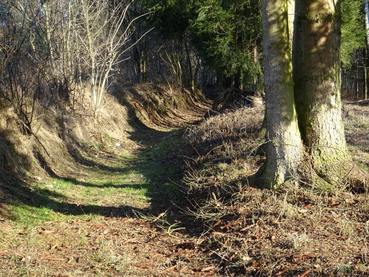 Cu-Ferienwohnungen - Nur Fuer Urlaubsgaeste Grafenwiesen Esterno foto